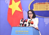 越南对中东地区日益升级且复杂的冲突局势深表关切